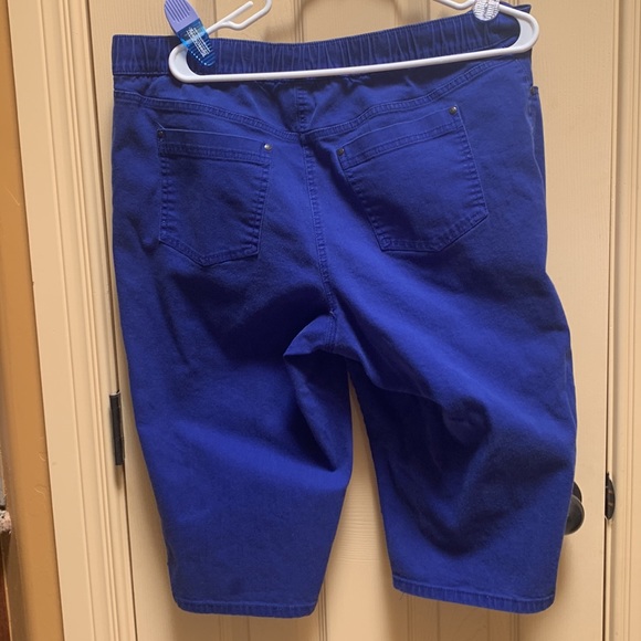 GUC Blue Capris - Picture 3 of 4